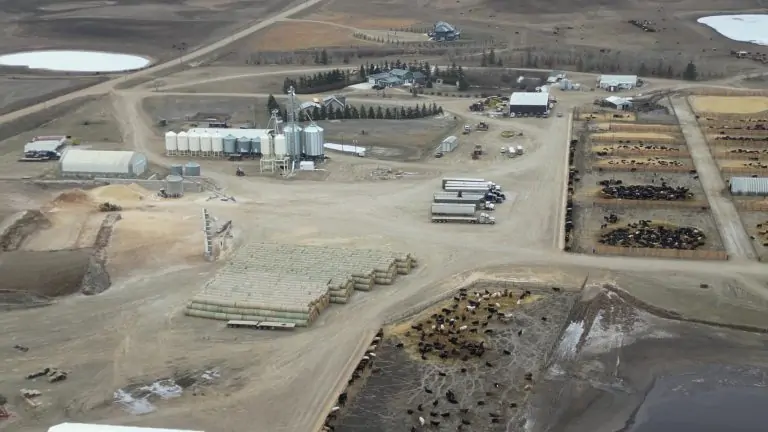 DJI_0057-frame-at-0m14s-768x432